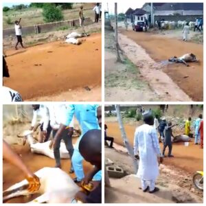 Read more about the article Federal Govt alerts the public over poisoned animals at Kwara cattle market